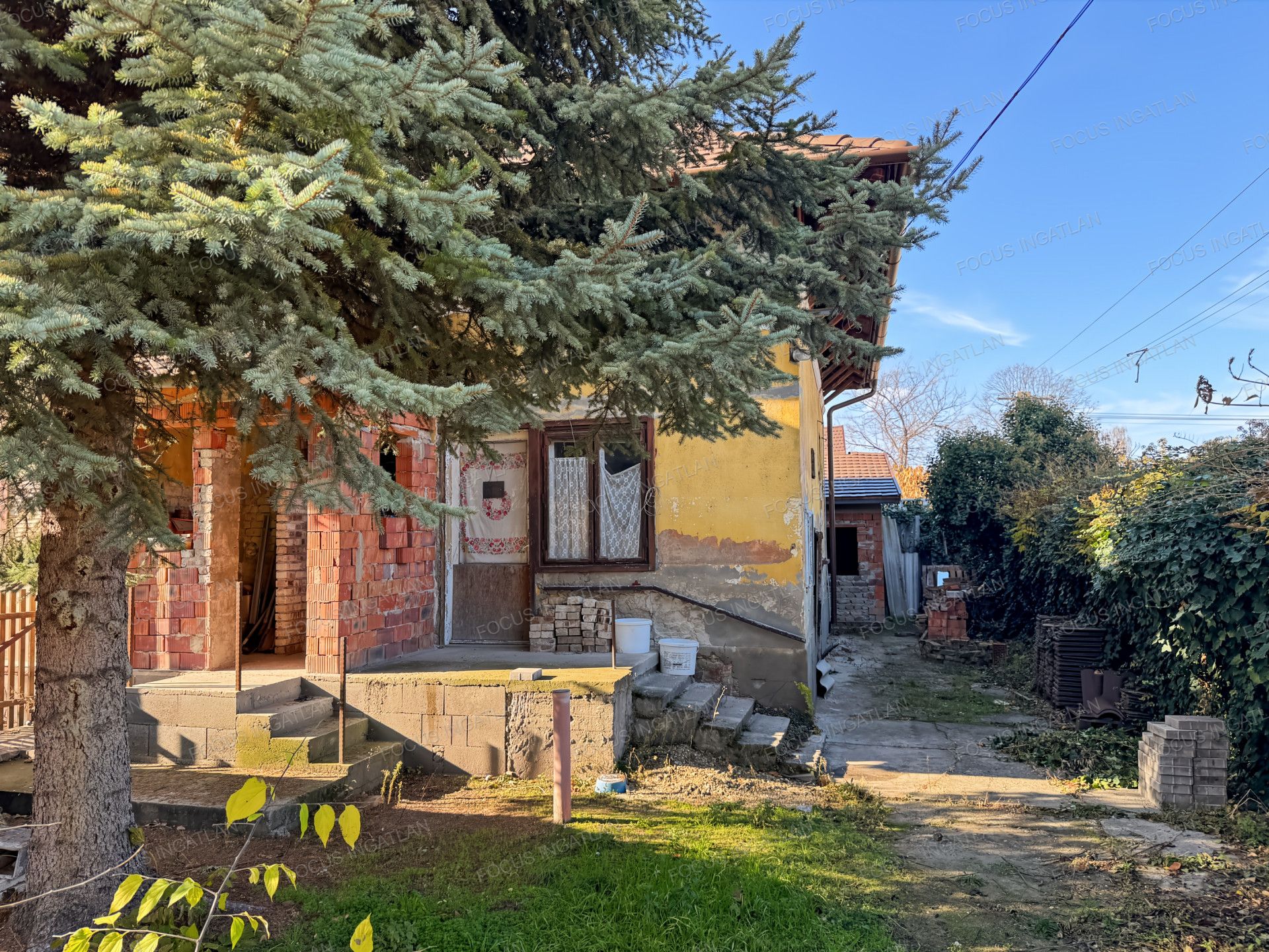 vizjeles_6069827