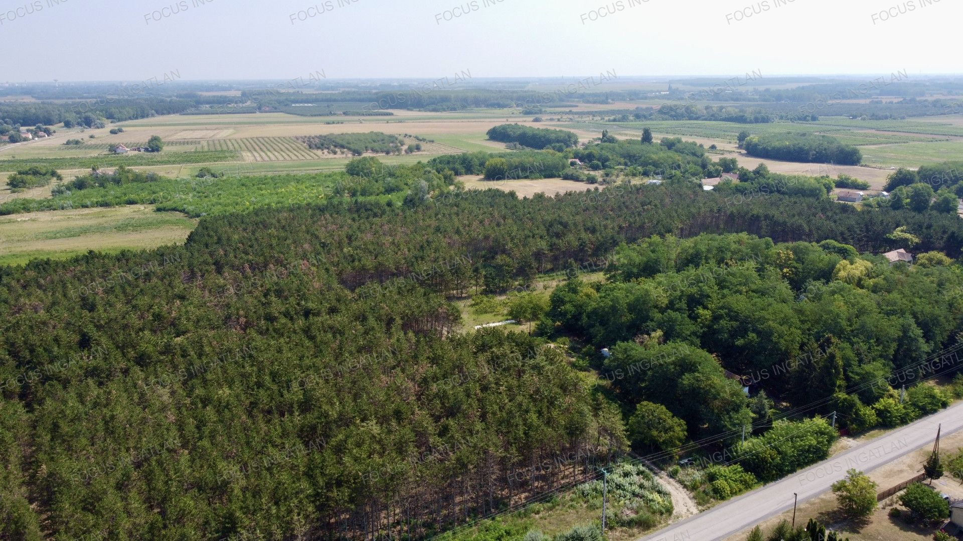 vizjeles_6262564